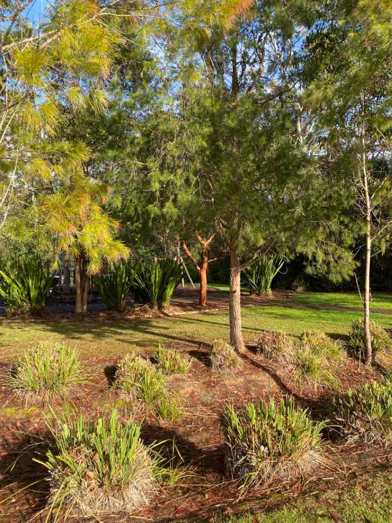 walking near me in Hayes Park in summer