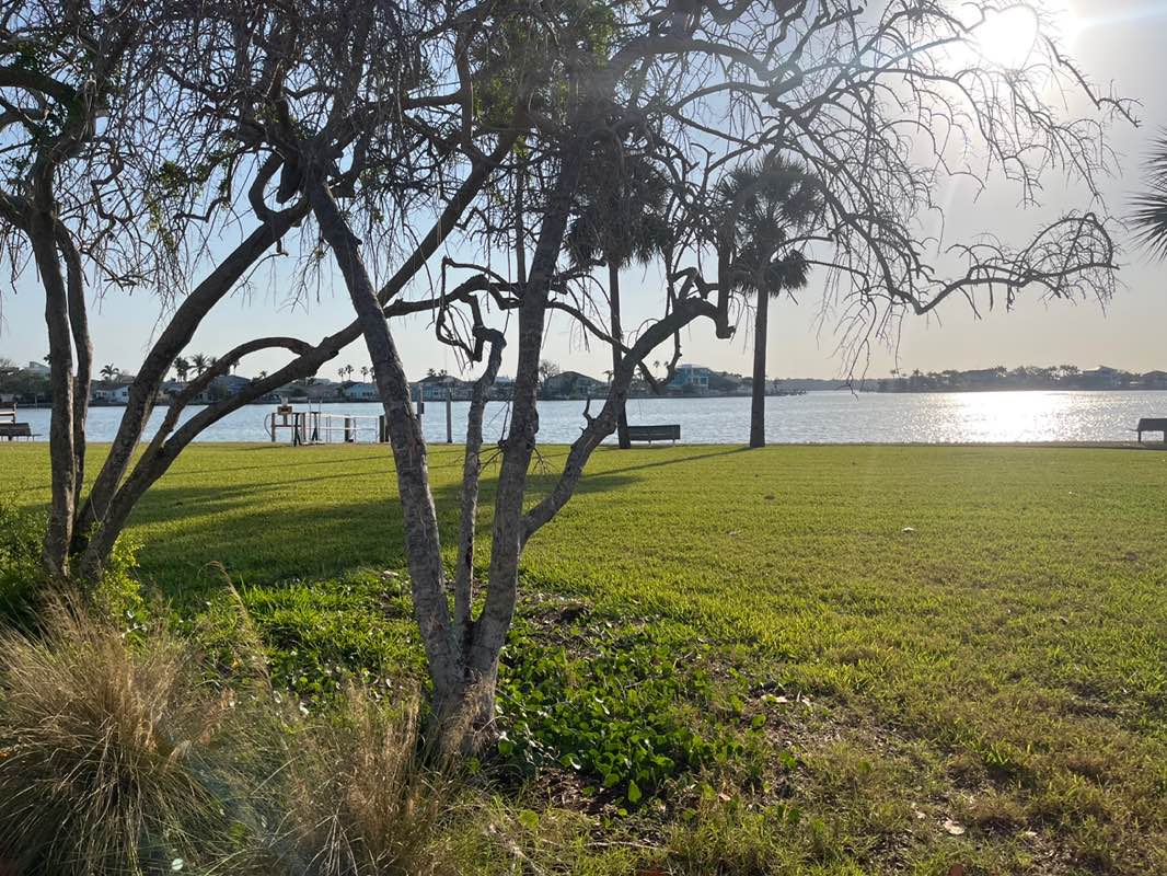 walking near me in Del Bello Park in spring