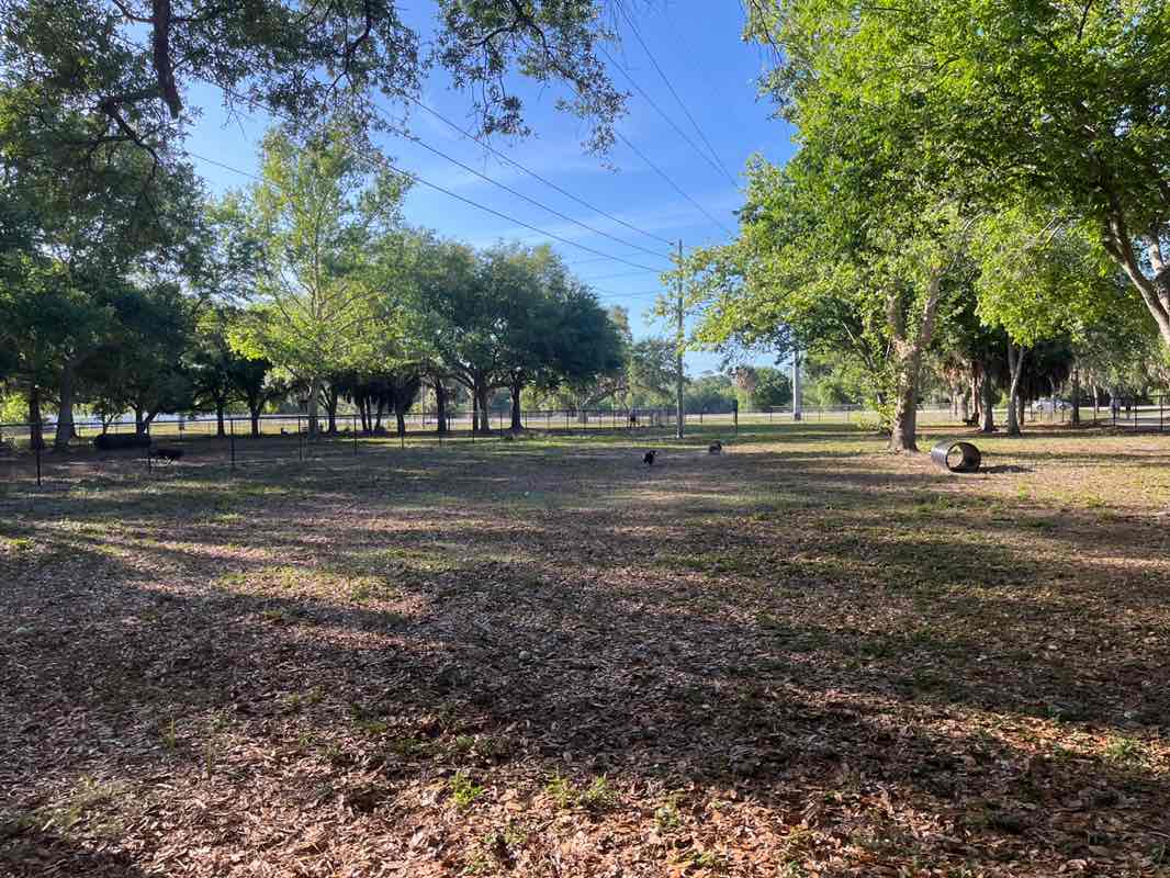 walking near me in Walsingham Park in spring