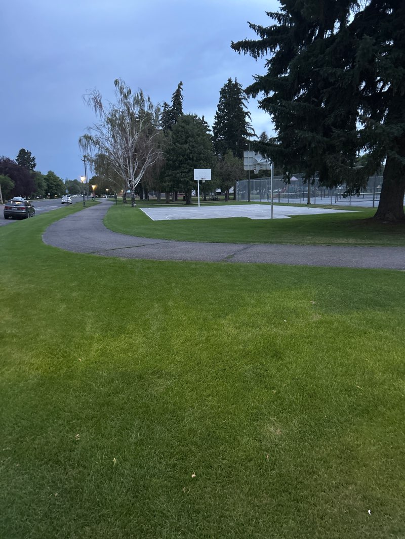 walking near me in Smith Park in summer