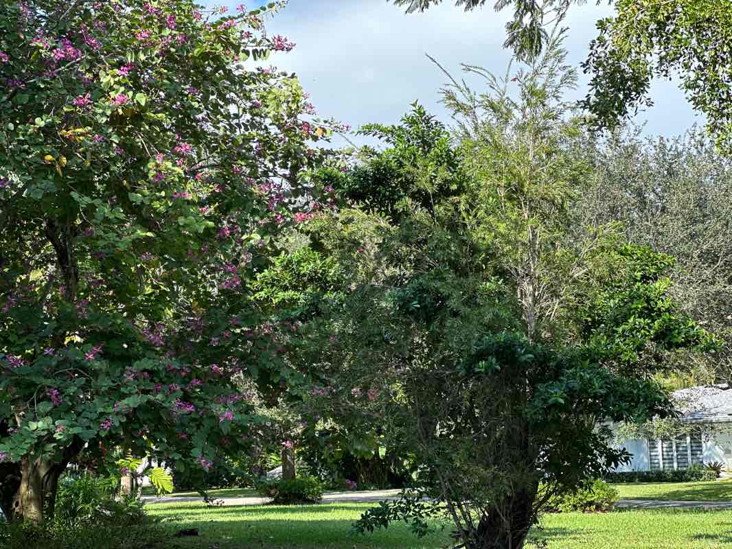 walking near me in Coral Gables Youth Center in winter