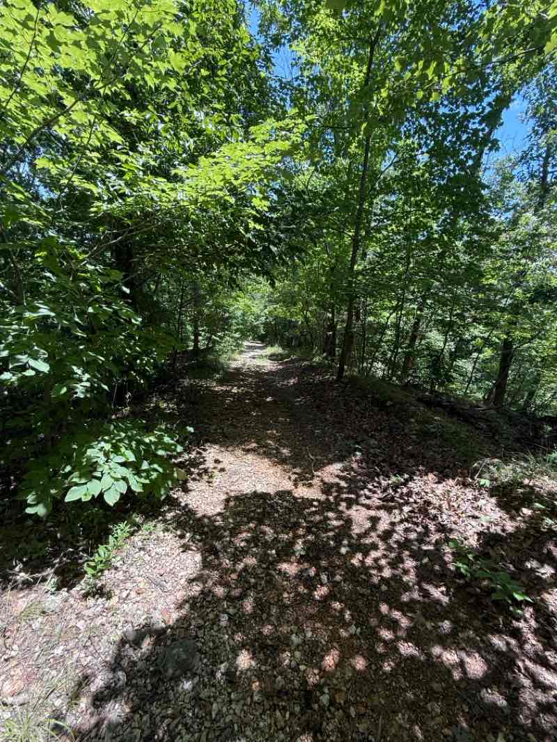 walking near me in Bennett Spring State Park in summer
