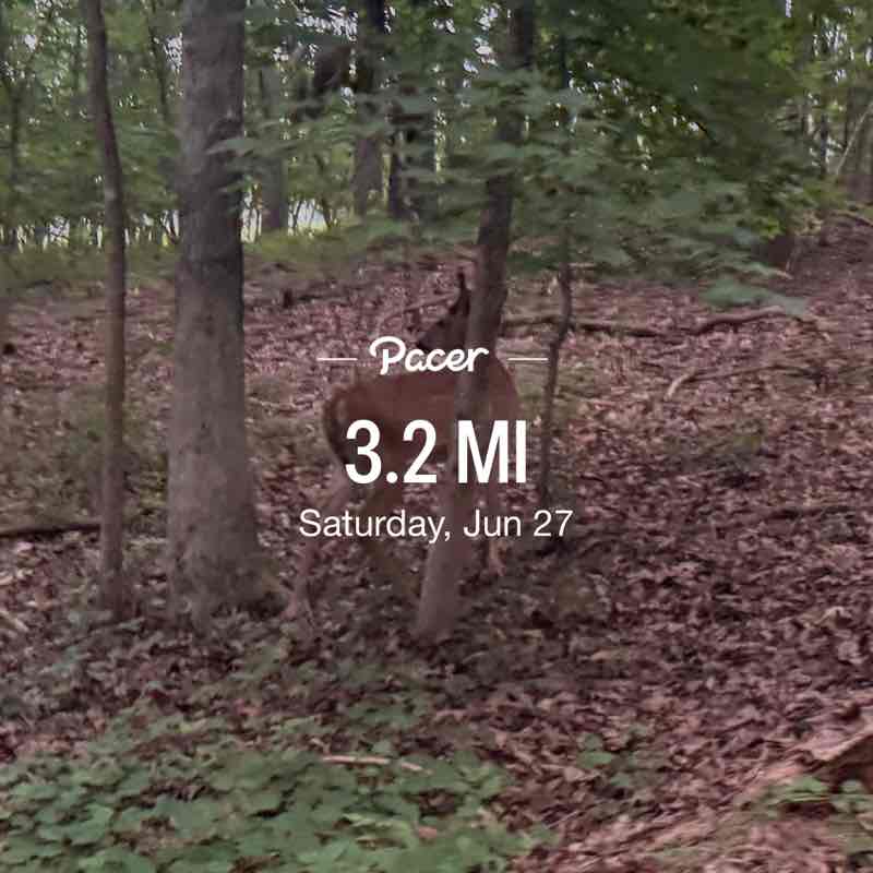 Cool Breeze post 1
