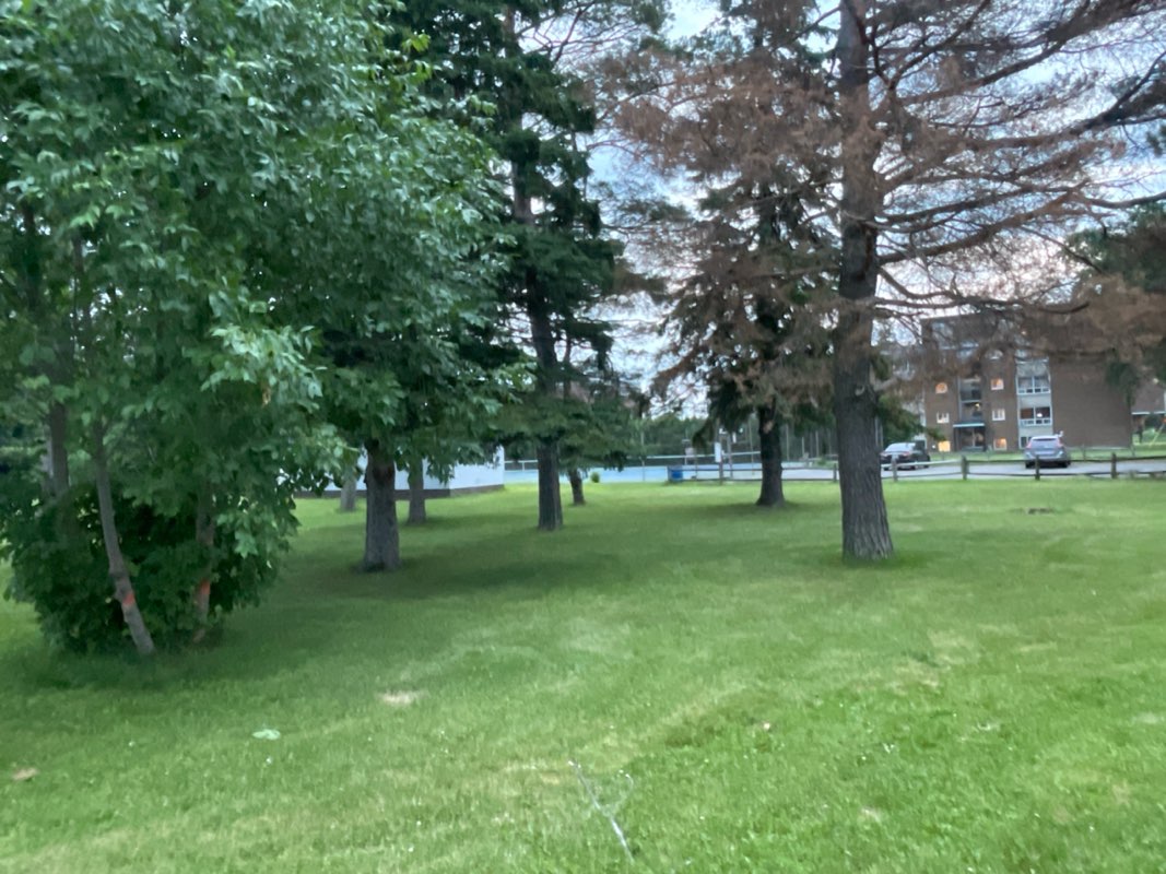 walking near me in Steve MacLean Park in summer