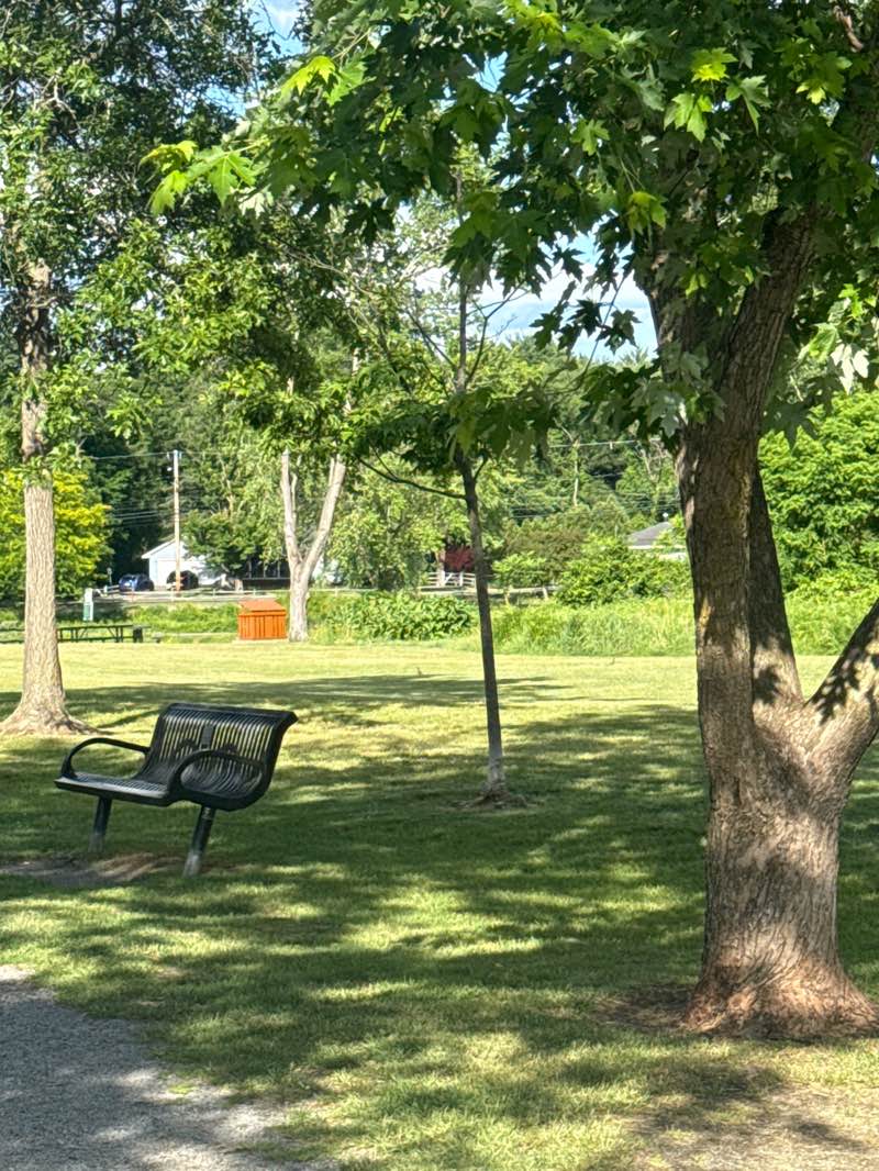 walking near me in Hovey Pond Park in summer