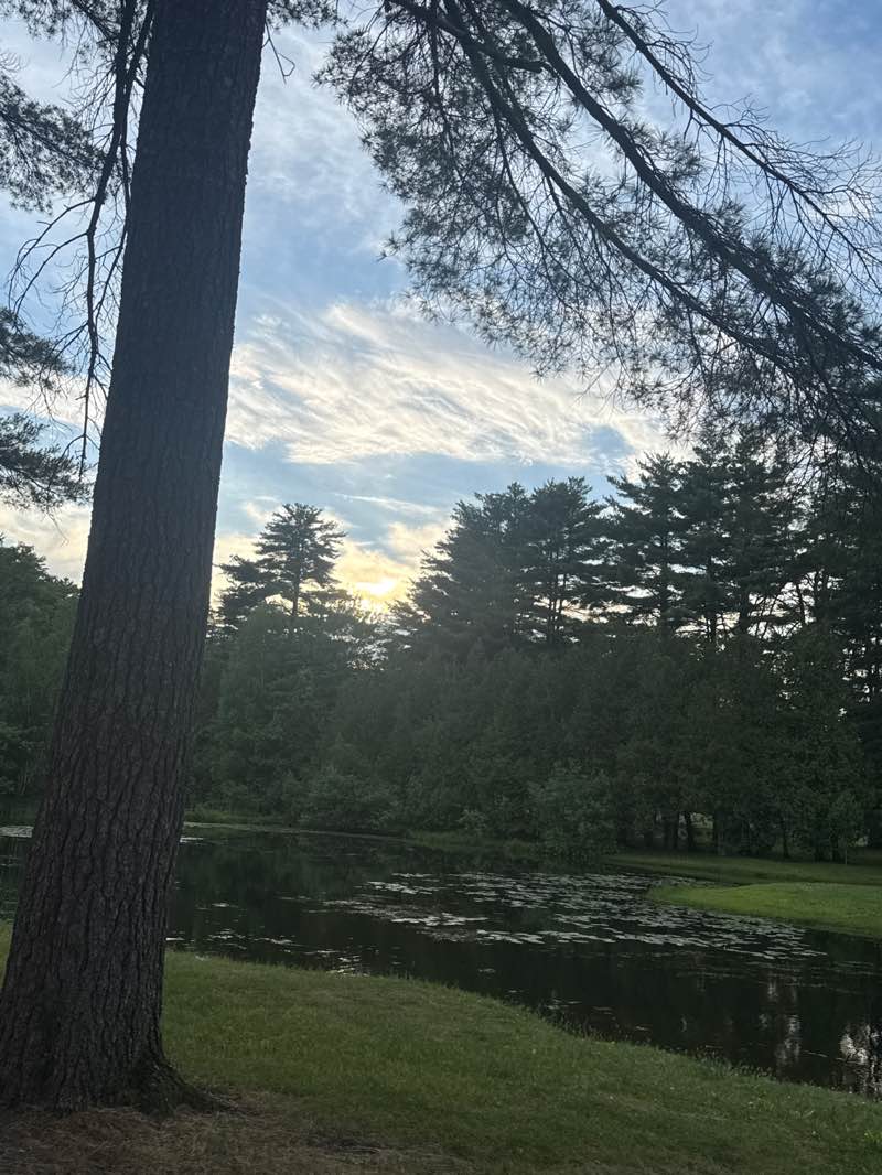 walking near me in Crandall Park in summer