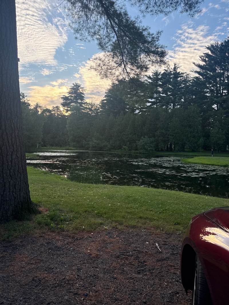 walking near me in Crandall Park in summer