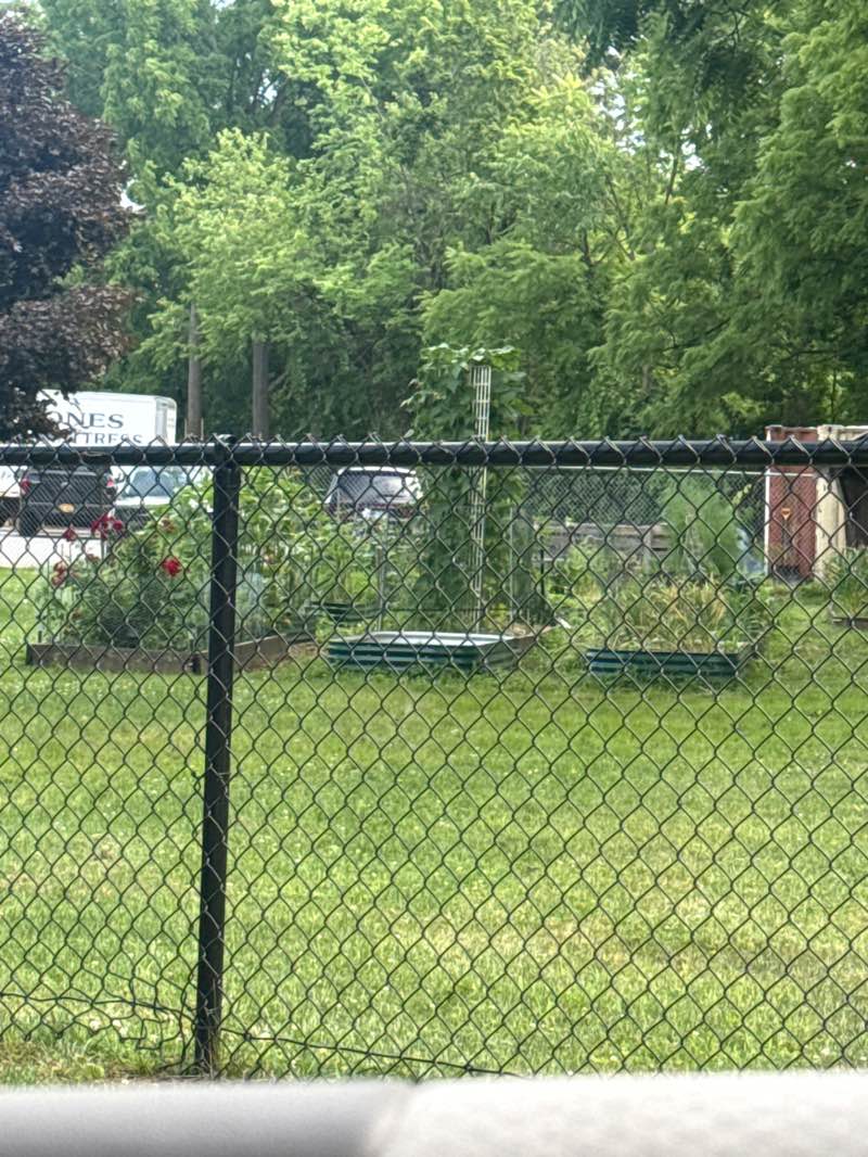 walking near me in Sagamore Street Park in summer