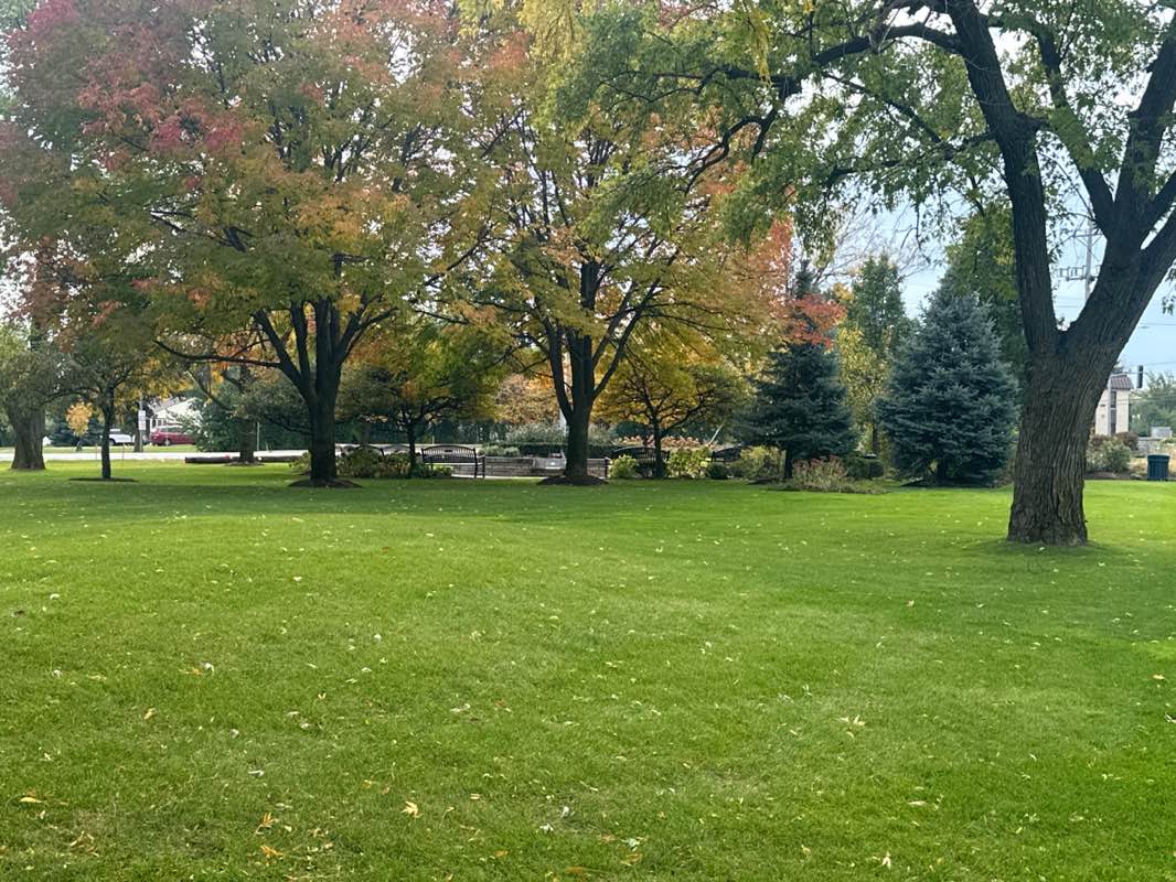 walking near me in Memorial Park in autumn
