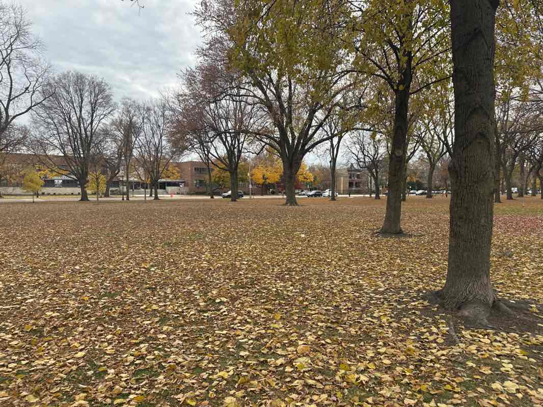 walking near me in Palmer Square Park in autumn