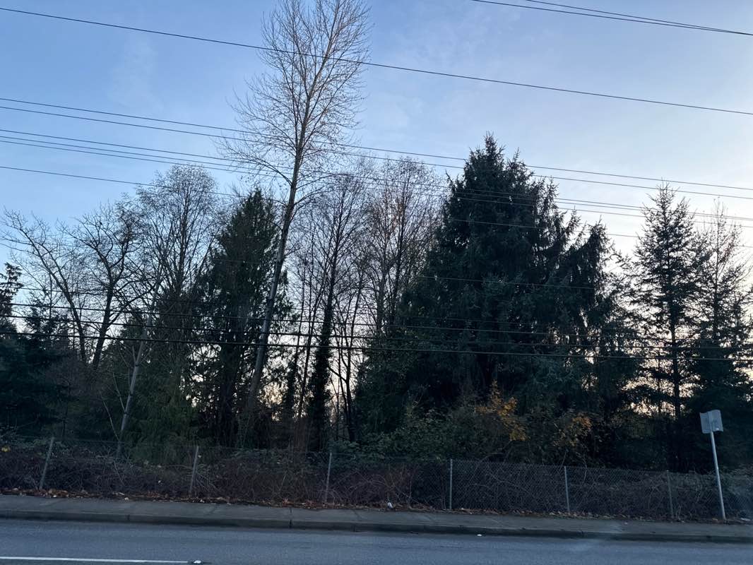 walking near me in Quilane Park in autumn