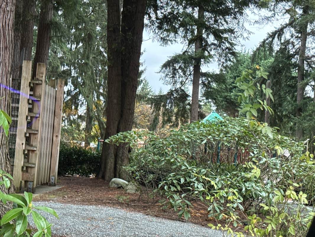 walking near me in Ivanhoe Park in winter