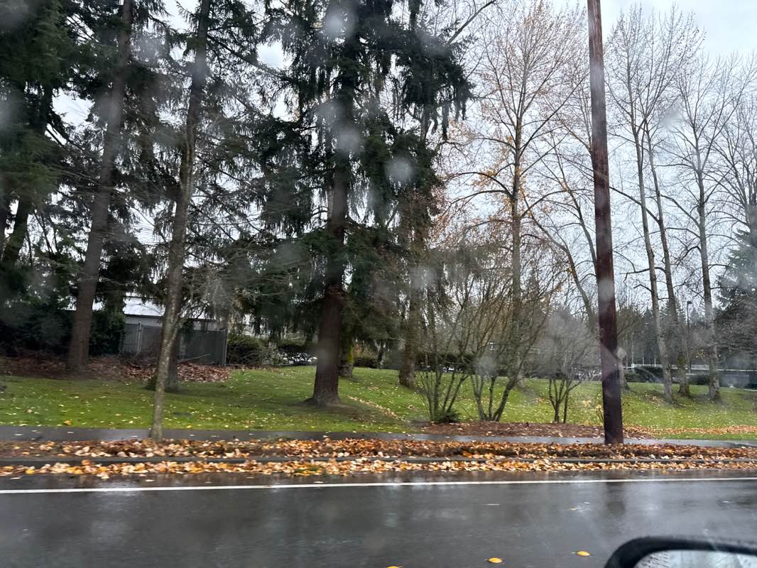 walking near me in Ardmore Park in winter