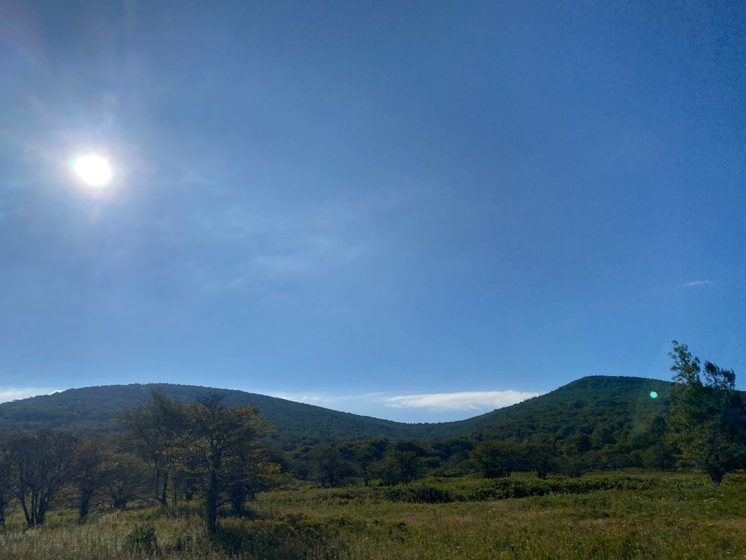 walking near me in Canaan Valley National Wildlife Refuge in winter