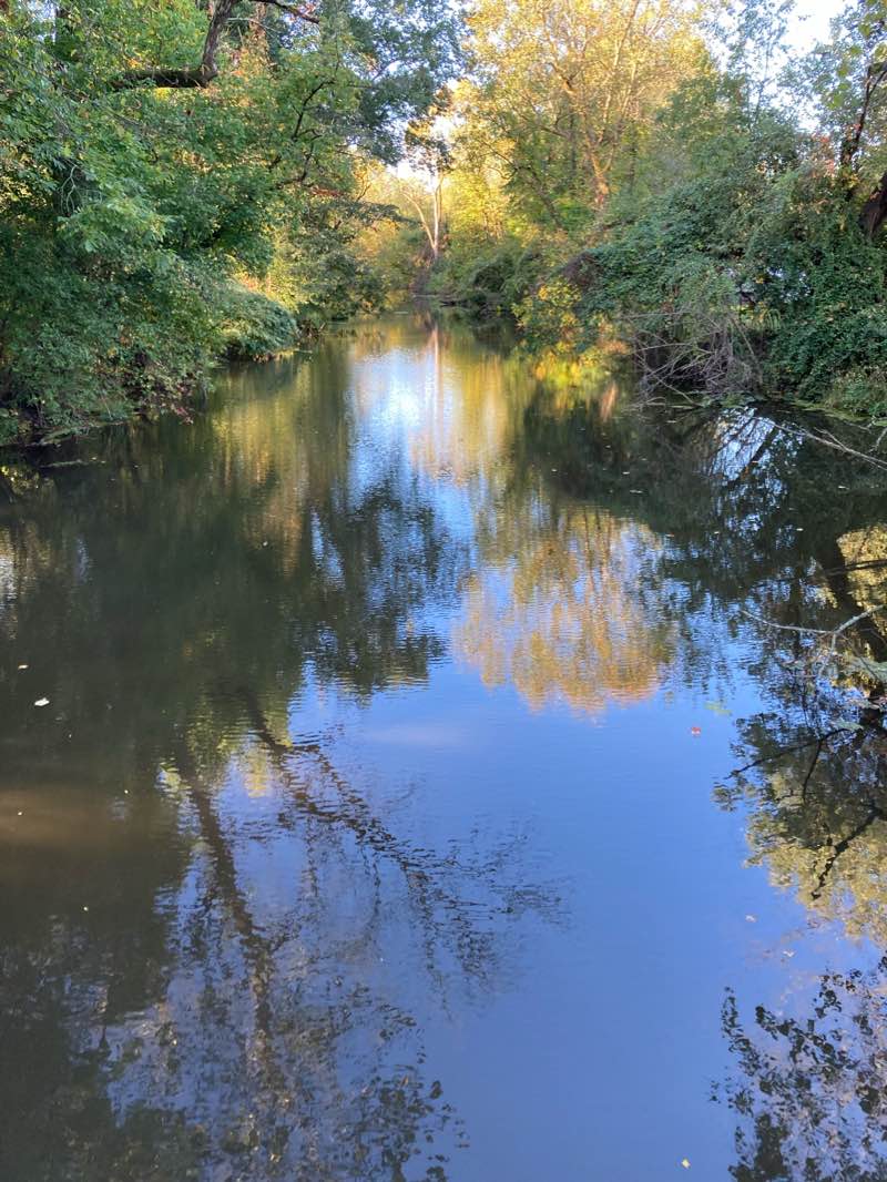 walking near me in Duke Island Park in winter