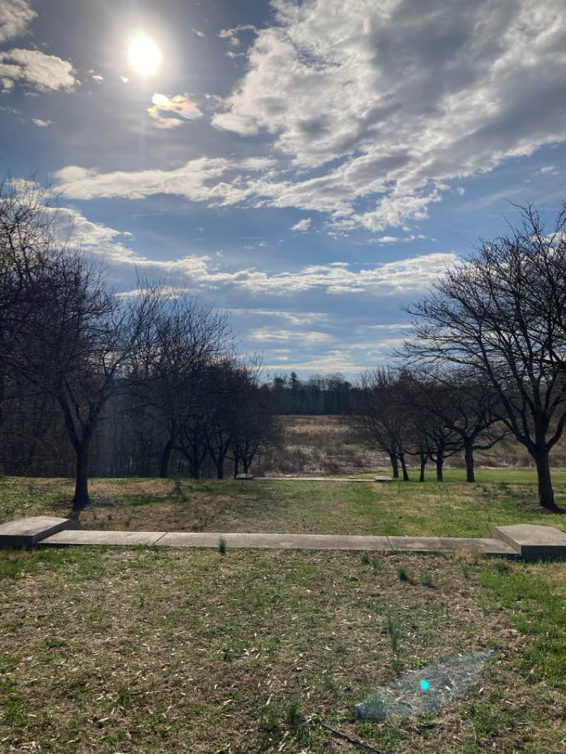 walking near me in The Arboretum in spring