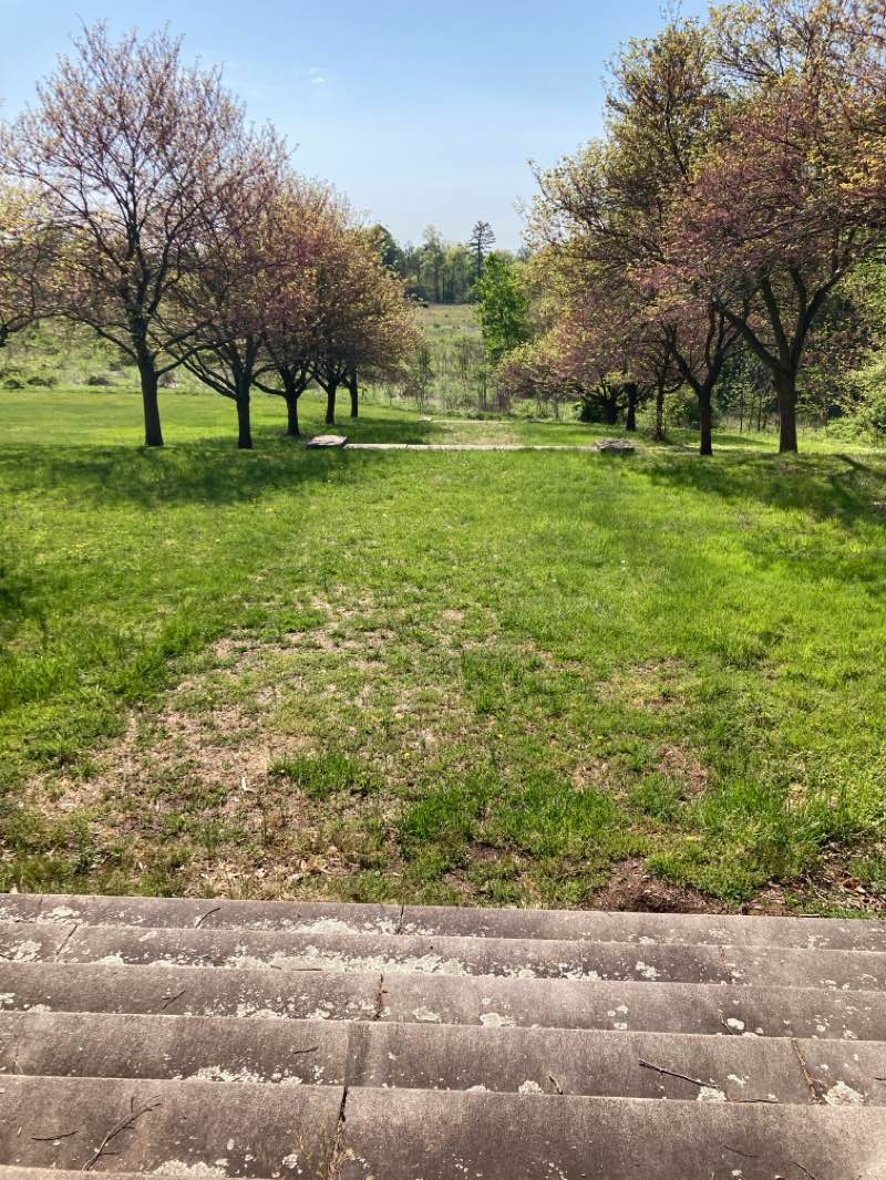walking near me in The Arboretum in spring
