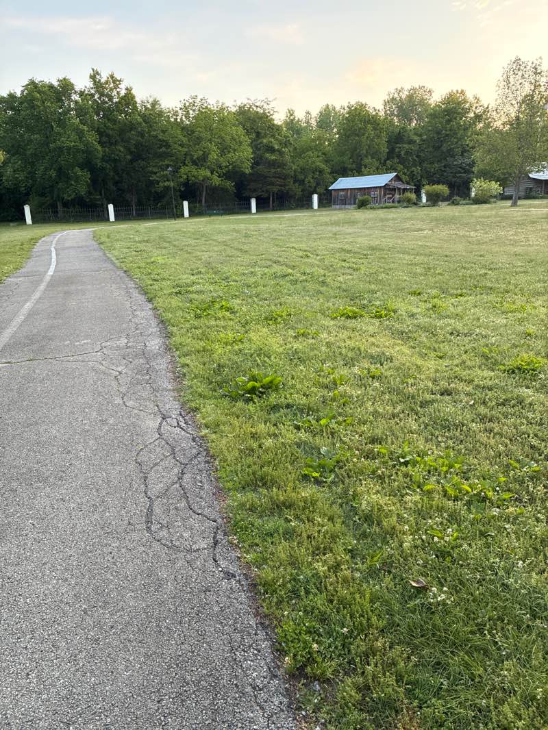 walking near me in Cooper Park in spring