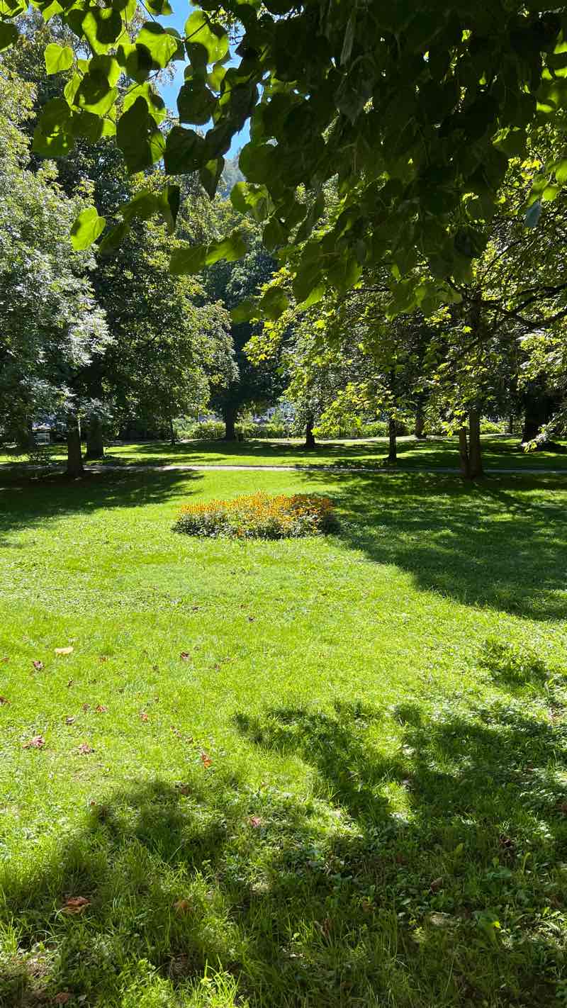 walking near me in Kurpark in winter