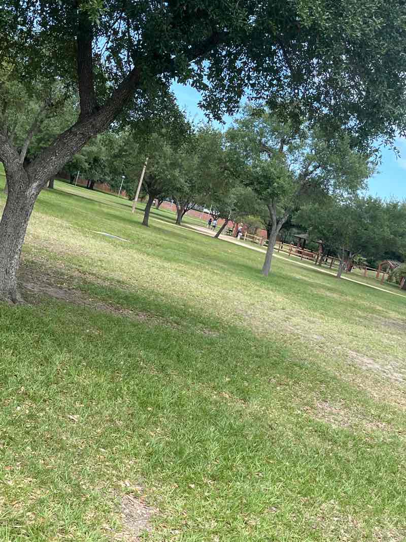 walking near me in Ray Miller Park in spring