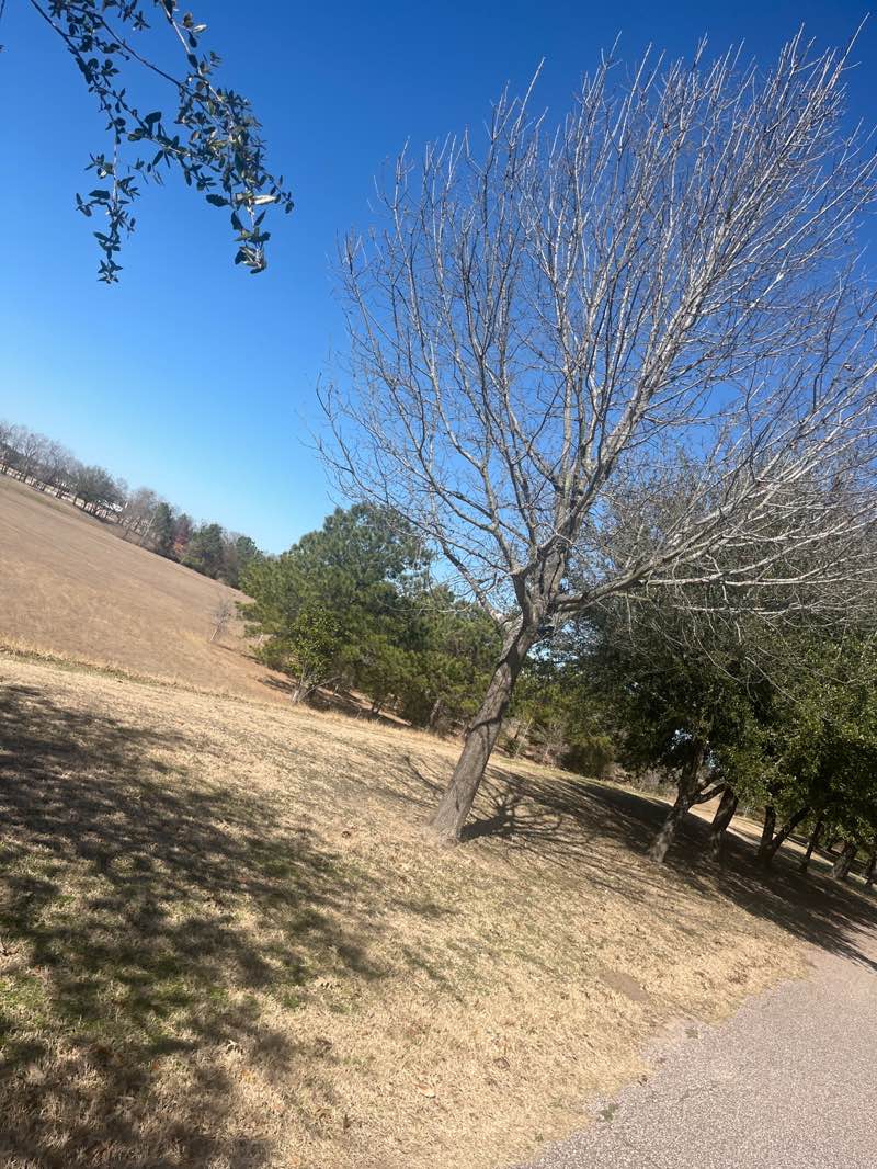 walking near me in Mike Driscoll Park in winter