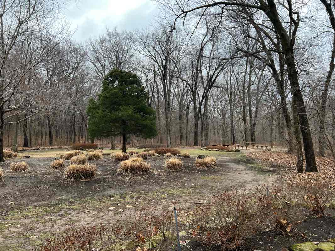 walking near me in Ray Harral Nature Park in winter