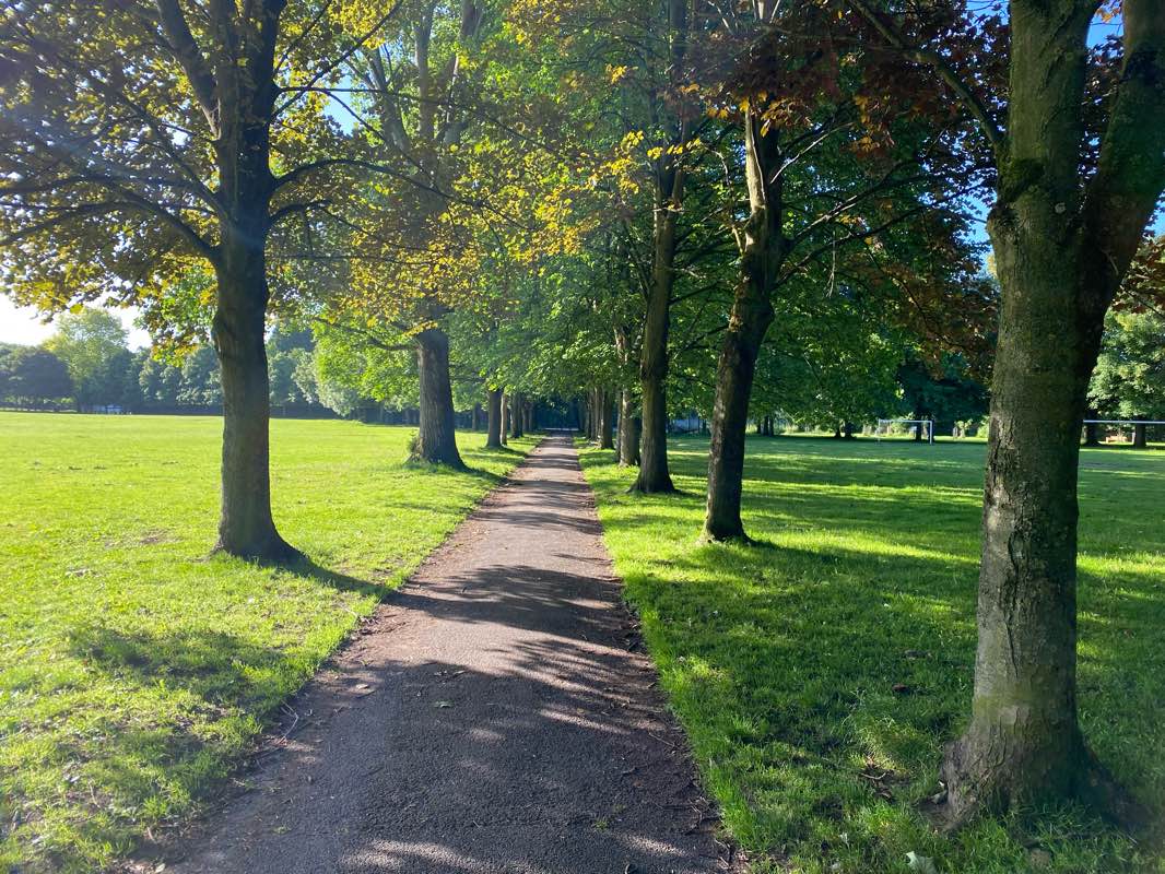 walking near me in Moor Nook Park in winter