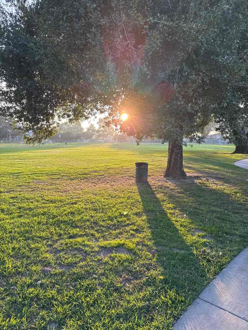 walking near me in Lambert Park in autumn