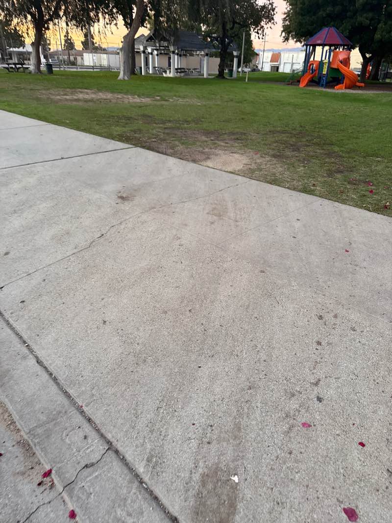 walking near me in Chet Holifield Park in autumn