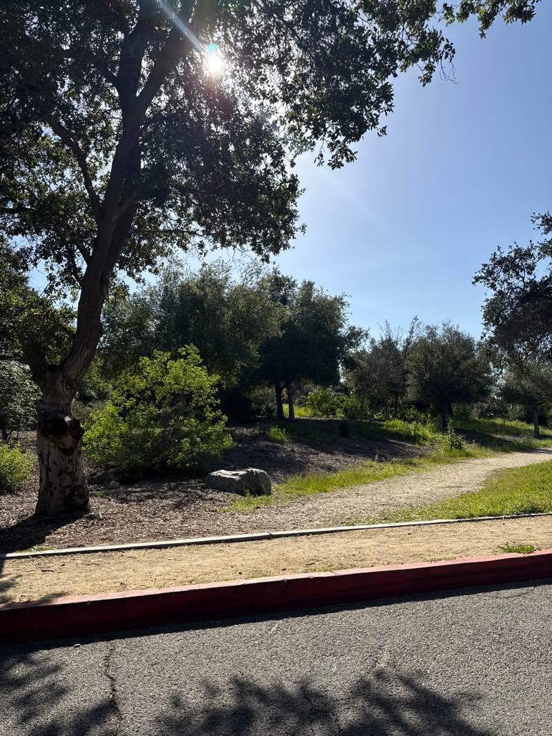 walking near me in Peck Road Water Conservation Park in winter