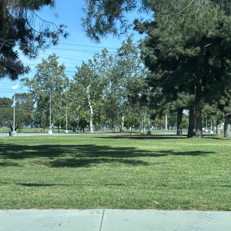 H L N ಠ_ಠ ✌︎ post 1