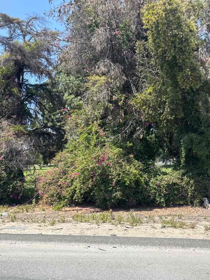 walking near me in Whittier Narrows Recreation Area - Special Events in spring