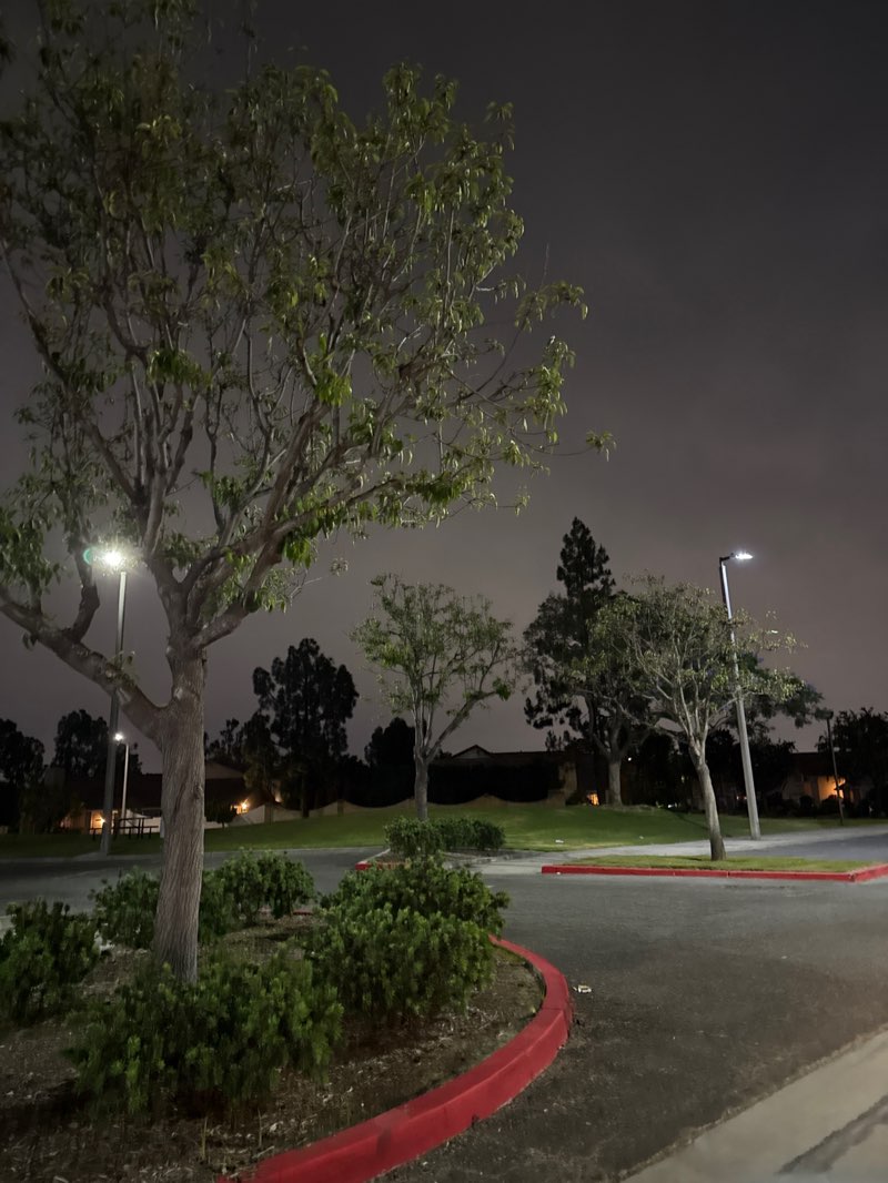 walking near me in Cerritos Park East in summer