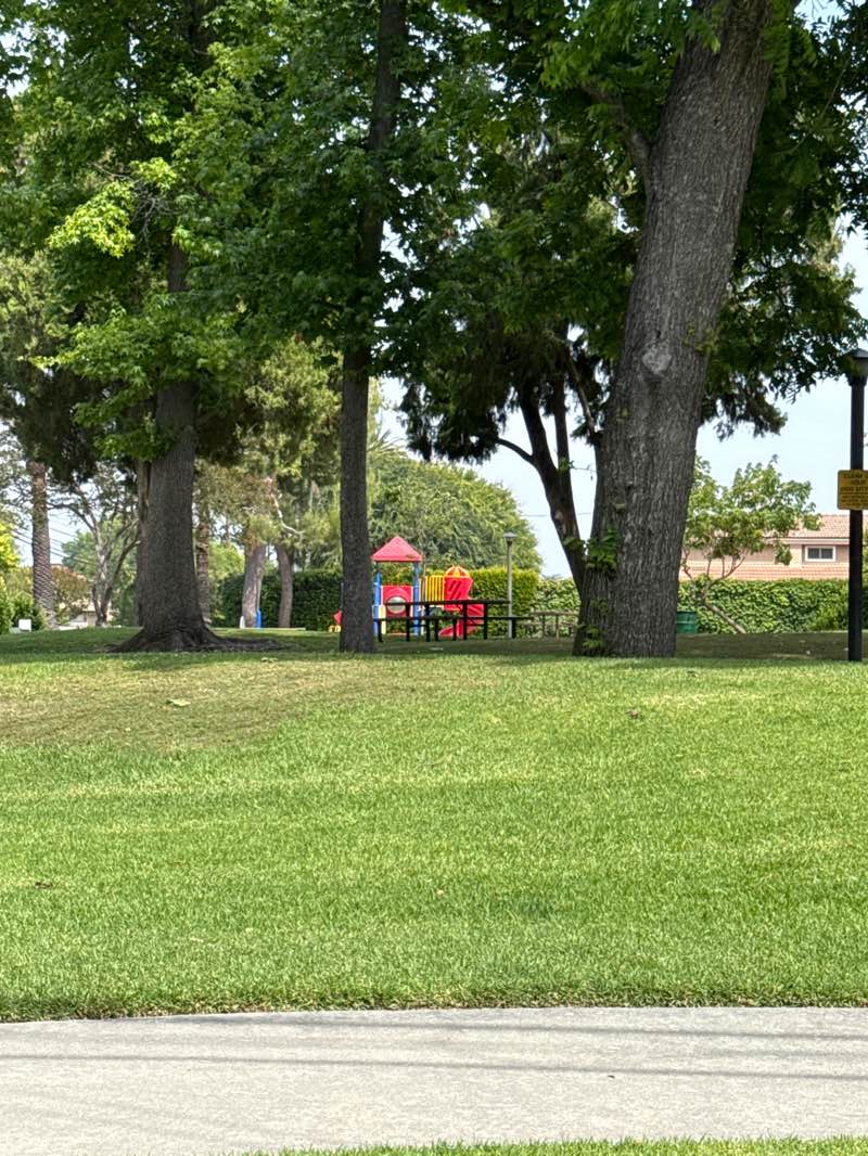 walking near me in Tierra Verde Park in spring