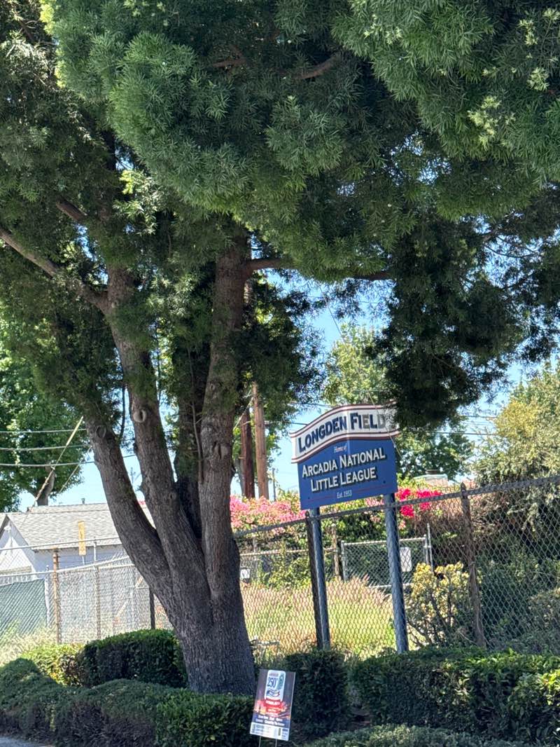 walking near me in Longden Avenue Park in summer