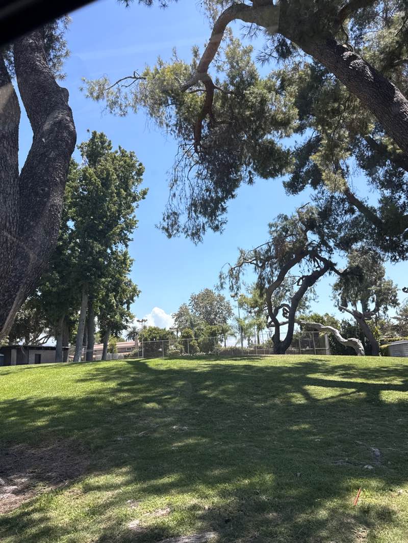 walking near me in Tierra Verde Park in summer