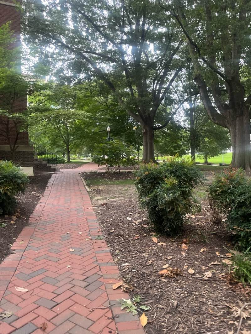 walking near me in Capitol Square in summer