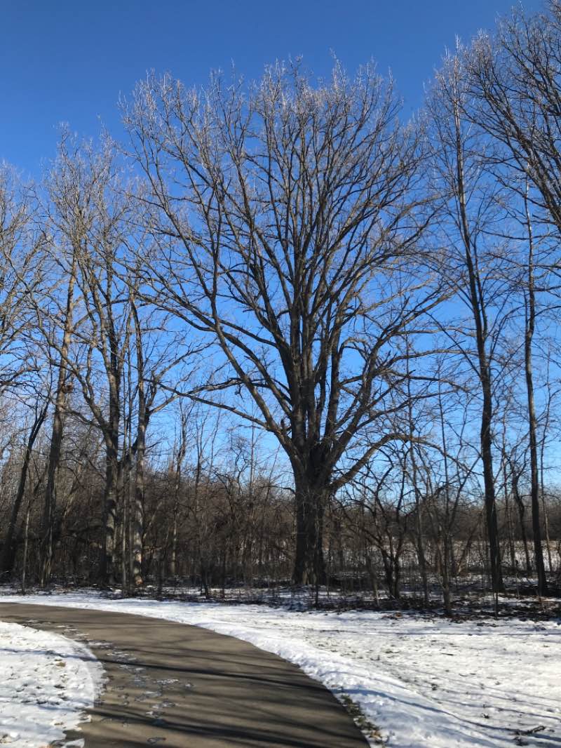 walking near me in Hill Road Mixed-Use Sports Recreational Complex in winter