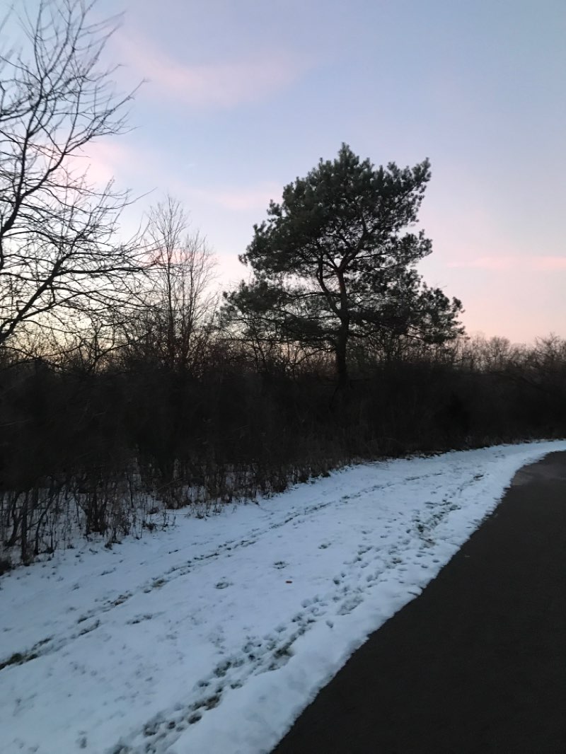 walking near me in Hill Road Mixed-Use Sports Recreational Complex in winter