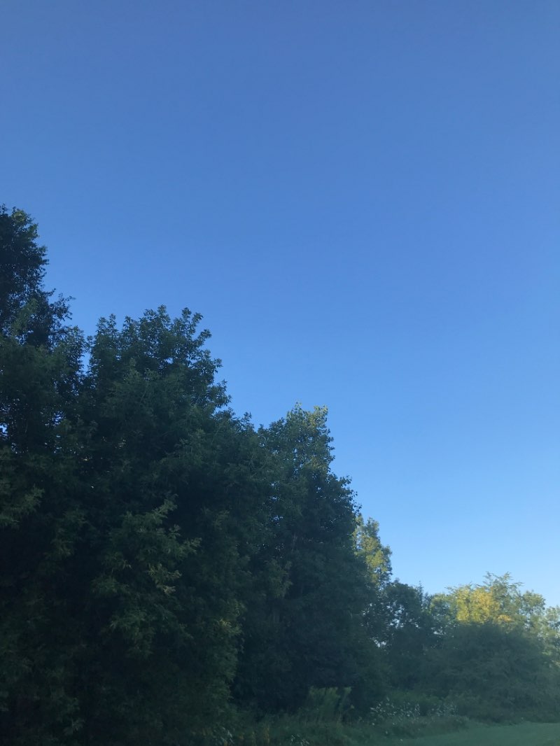 walking near me in Hill Road Mixed-Use Sports Recreational Complex in winter