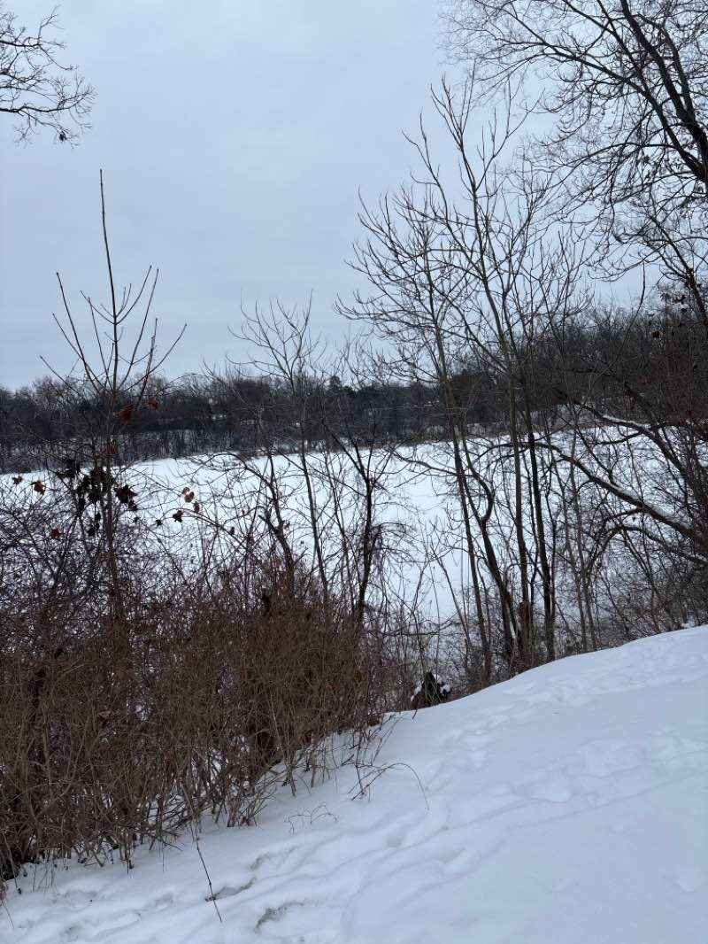 walking near me in McKinley Park in winter