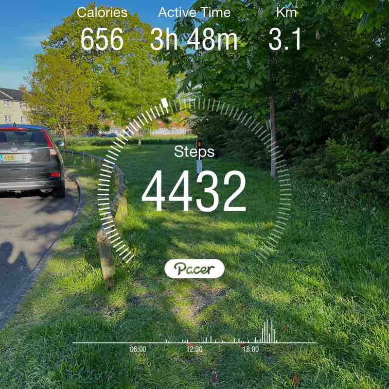 walkathon Hari post image