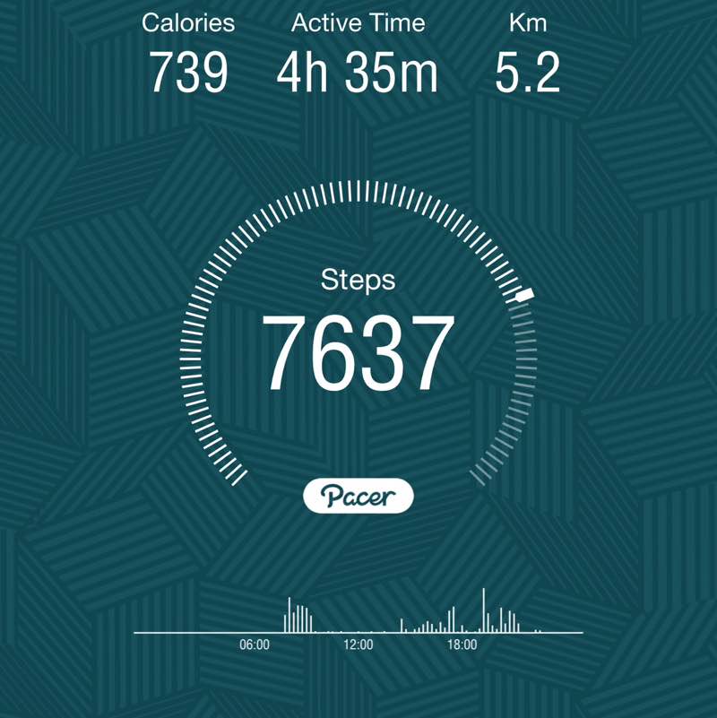 walkathon Hari post image