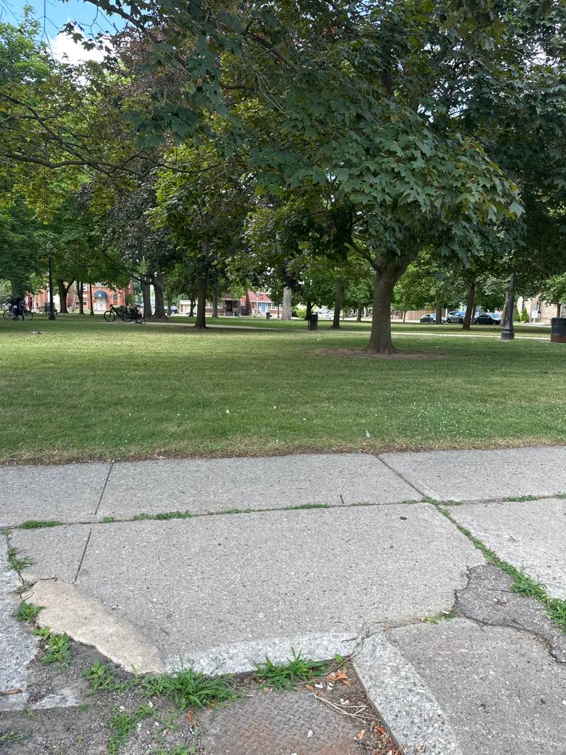 walking near me in Alexandra Park in summer