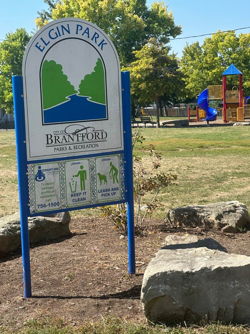 walking near me in Elgin Park in autumn