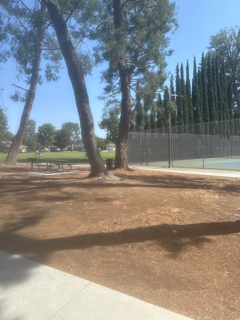 walking near me in Valencia Glen Park in summer