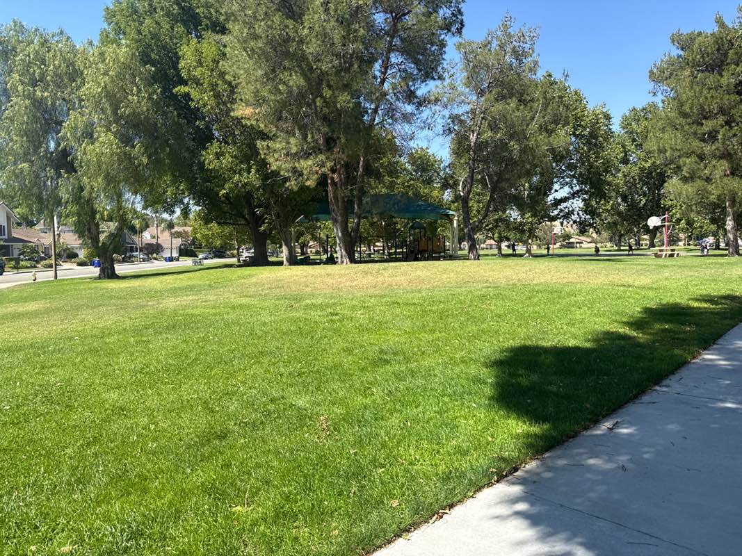 walking near me in Almendra Park in summer