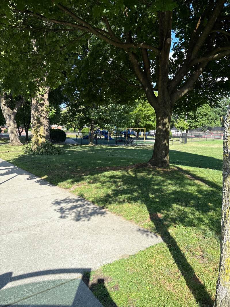 walking near me in James P. Casey Memorial Park in summer
