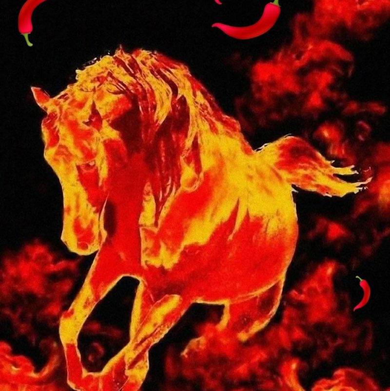 Александр🐯