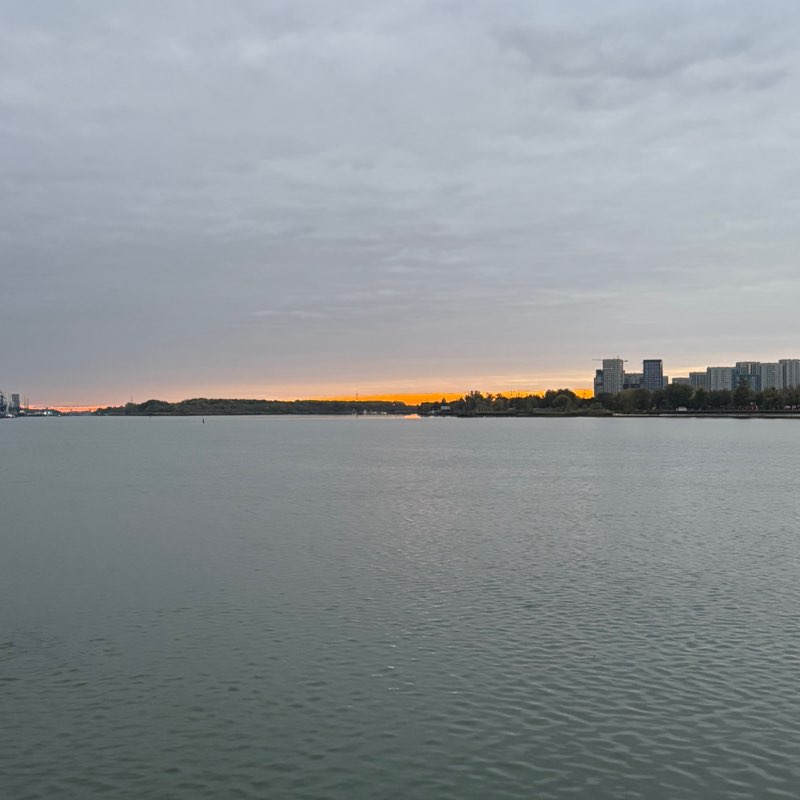 Александр🐯 post 1